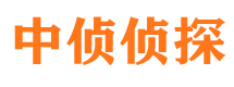 理塘侦探公司